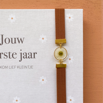 Boek elastiek | droogbloem madelief | steenrood